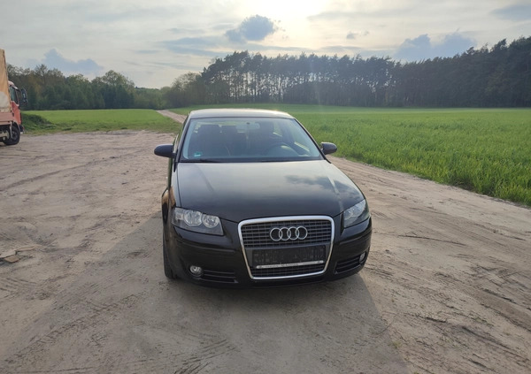 Audi A3 cena 15900 przebieg: 189230, rok produkcji 2007 z Rakoniewice małe 46